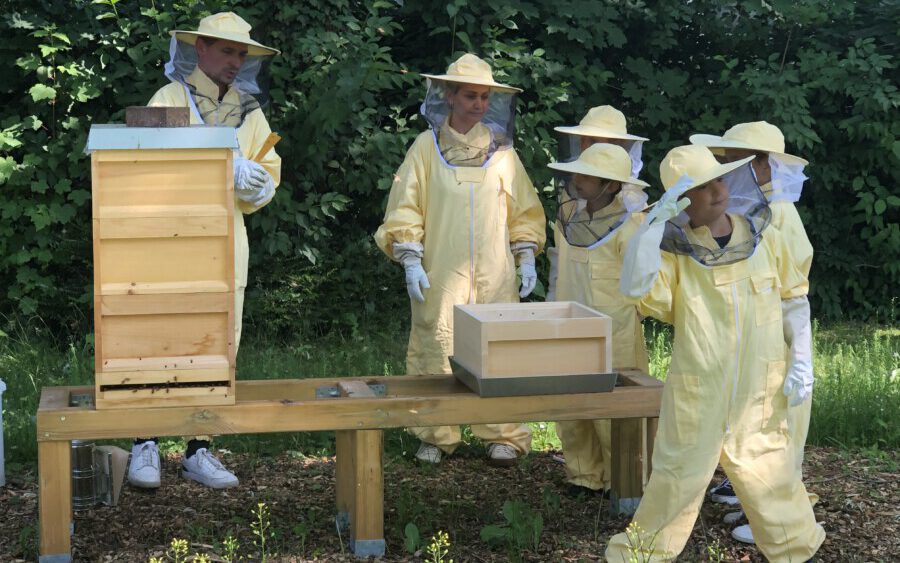 Die Schulimkerei hat der Nordschule hat ihren ersten eigenen Honig geerntet -- früher als erwartet. Voller Stolz begaben sich die Kinder ijn ihren Imkeranzpügen diese Wioche zum Bienenstand an der BNordschule.