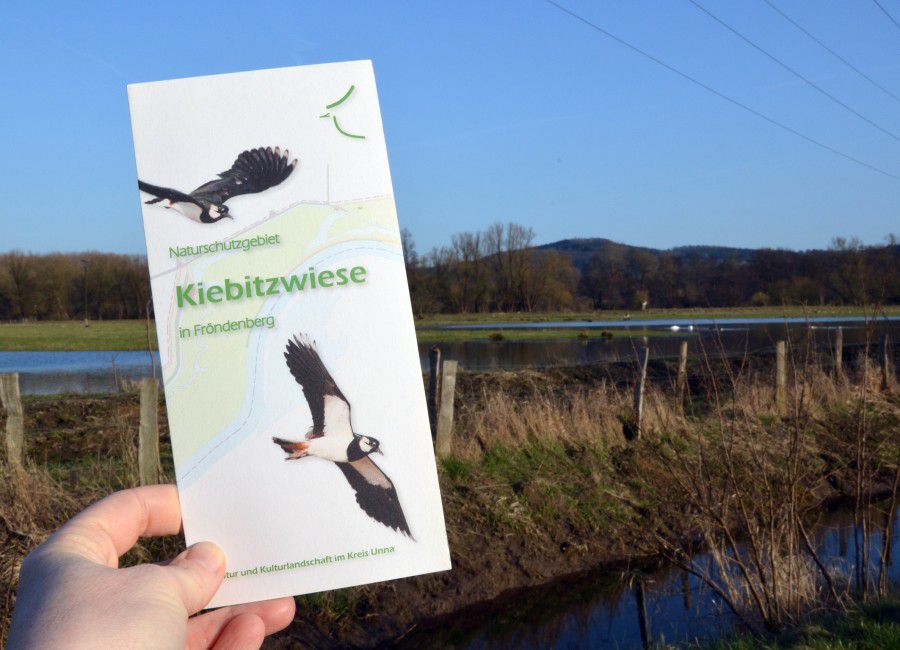 Über die Naturschutzgebiete im Kreis Unna informieren meist große Tafeln, oft gibt es auch Flyer – wie hier im Naturschutzgebiet Kiebitzwiese in Fröndenberg/Ruhr. (Foto: Birgit Kalle – Kreis Unna)