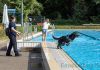 20210918 Hundeschwimmen 18