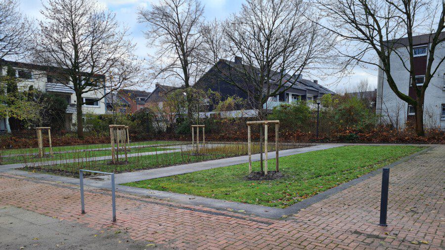 In der ersten Dezemberwoche hat der Baubetriebshof die Bepflanzung der ehemaligen Rollschuhbahn auf dem Platz von Louviers abgeschlossen: Acht neue Bäume und einige Reihen Sträucher wurden gepflanzt. Damit ist die Renaturierung der Fläche auf dem Festplatz zunächst abgeschlossen.