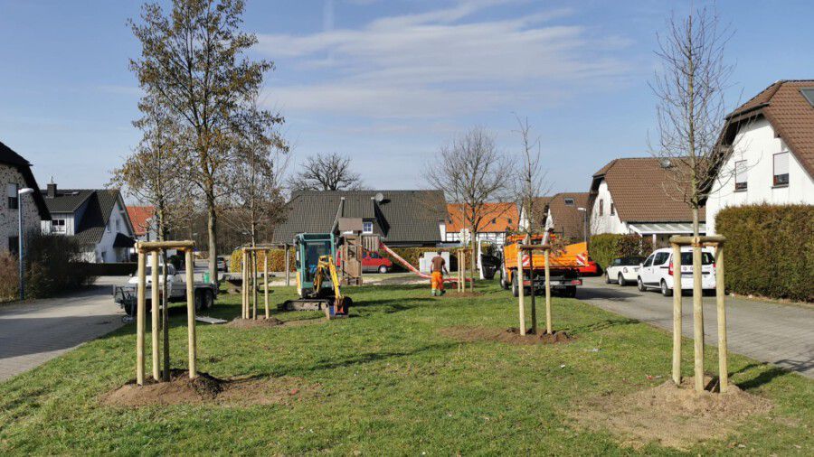 Auf der Grünfläche angrenzend zum Spielplatz an der Keltenstraßé wurden fünf Jungbäume gepflanzt. (Foto: Gemeinde Holzwickede