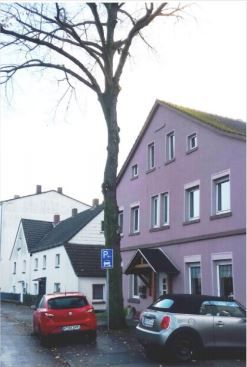 Auchg dem Abholzen dieser kerngesunden Winterlinde in der Rausinger Straße hat der Umweltausschuss zugestimmt. (Foto: Gemeinde Holzwickede)