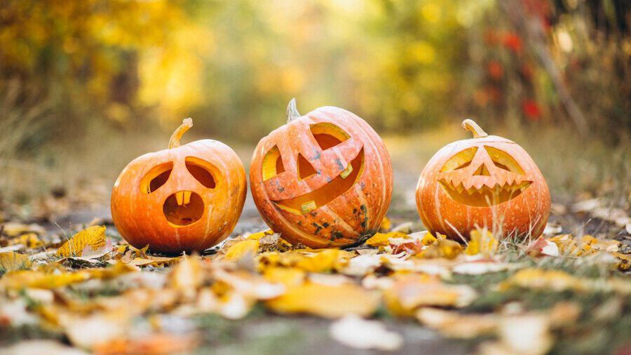 Die Polizei warnt vor unangemessenen Streichen zu Halloween, die schnell zu Straftaten werden können. (Foto: Pixabay)