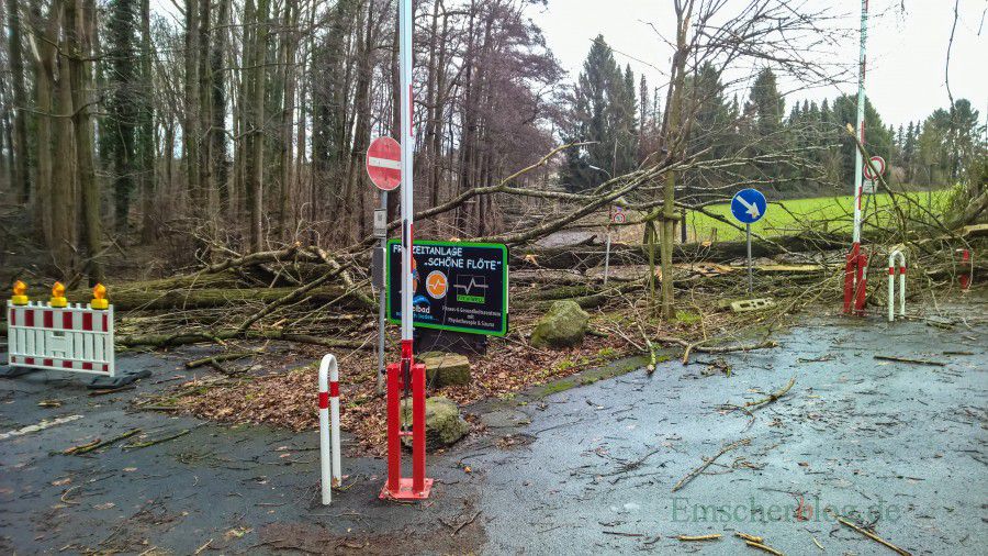 Gleich mehrere Bäume hat Sturmtief Friederike hier geknickt: Die Steinbruchstraße bleibt vorläufig gesperrt. Die ZTufahrt zum Parkplatz Schöne Flöte ist von dem Billmericher Weg aus frei. (Foto: P. Gräber - Emscherblog.de)
