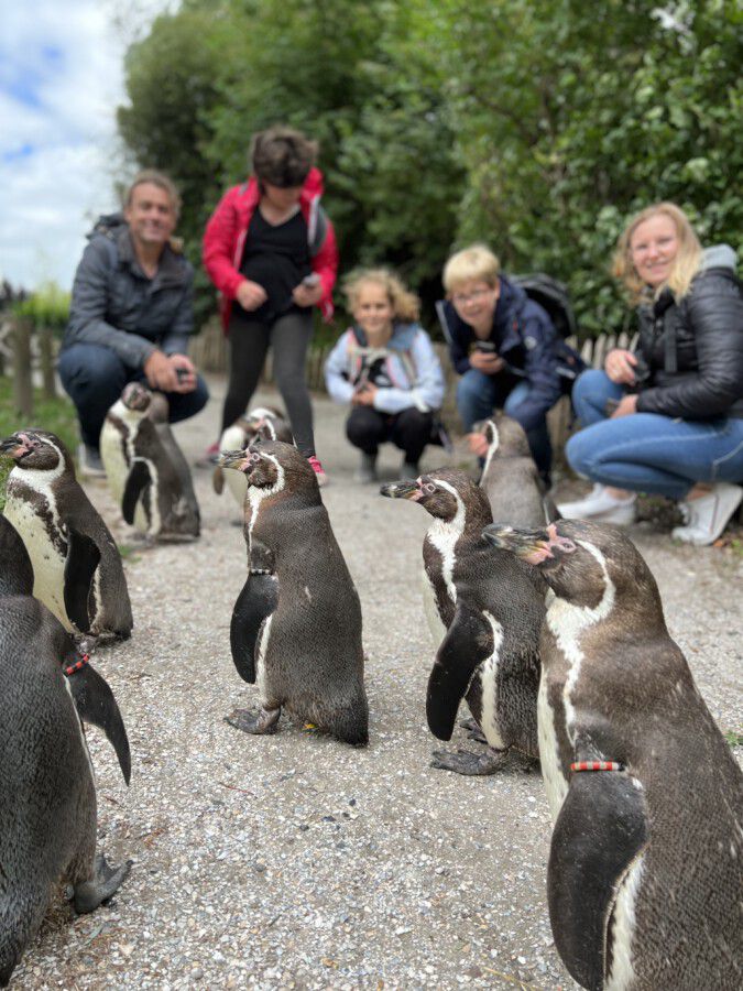 Erstmals wurde dieses Jahr auch der Aquazoo in Leuwaarden mit seinen Pinguinen und anderen Attraktionen bewsuc ht. (Foto: Kreis Unna)
