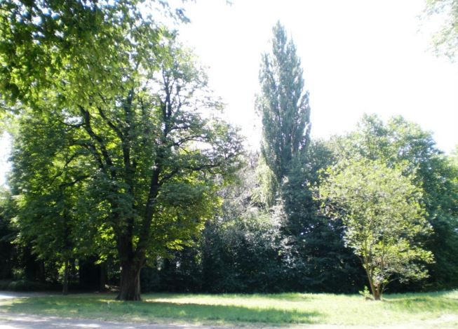 Das Grundstück im Emscherpark, auf dem die neue Kita errichtet werden soll. (Foto: Gemeinde Holzwickede)