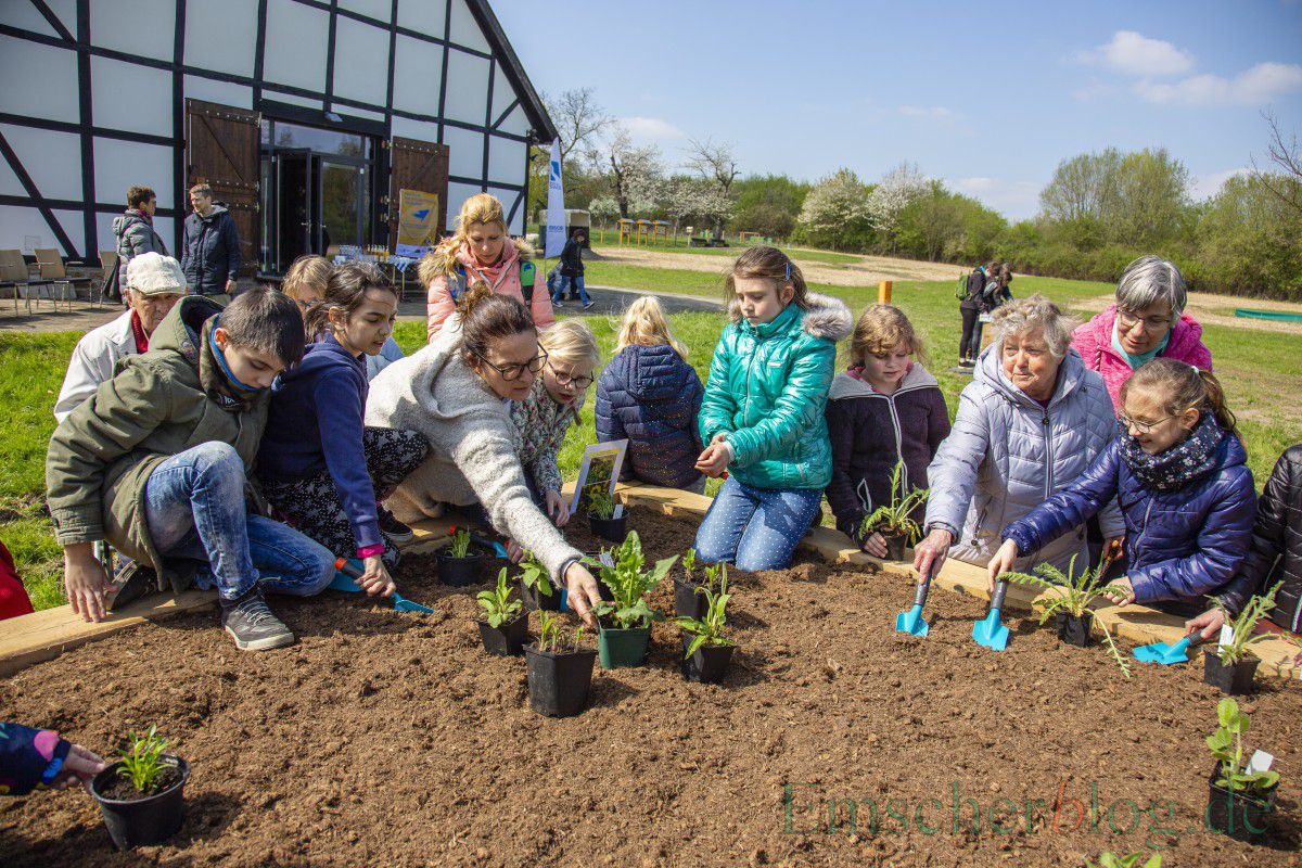 Kinder der Natur AG der Dudenrothschule und Senioren des Perthes-Hauses bepflanzen ein Hochbeet am Emscherquellhof. (Foto: P. Gräber - Emscherblog)