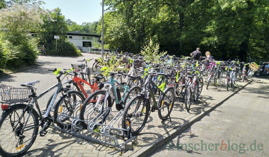 Indiz für die hohe Akzeptanz des Stadtradelns: Fast alle Fahrräder vor der Schönen Flöte tragen derzeit die gelbe Schleife am Lenker. (Foto: P. Gräber - Emscherblog)