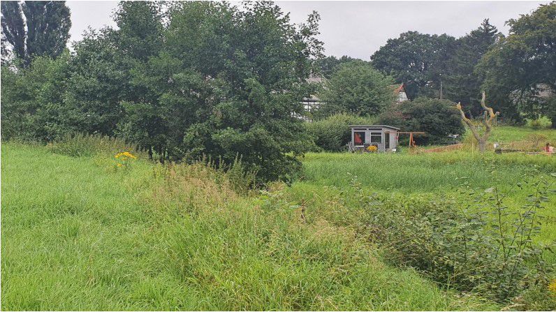 Die Auenlandschaft (Foto) am Krummen Weg, eigentlich ein Regenrückhaltebecken, soll von Bewuchs befreit und erweitert werden. (Foto: Gemeinde Holzwickede)