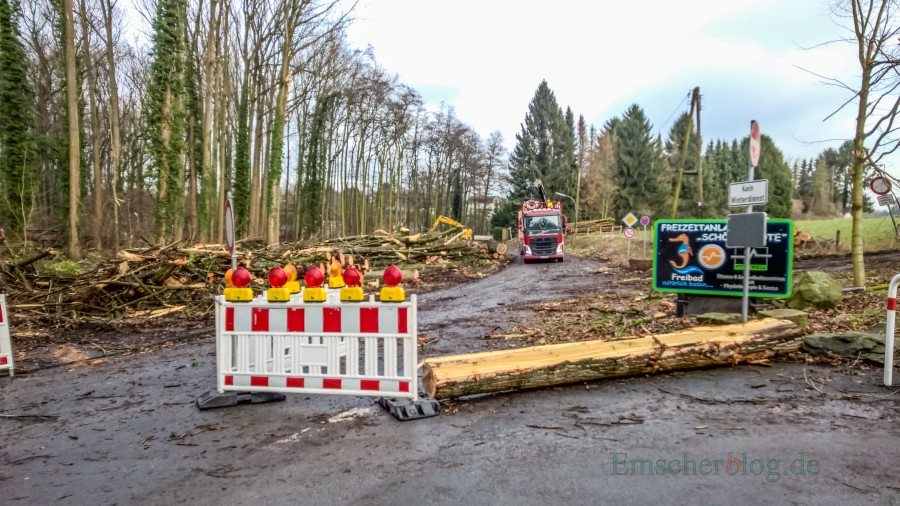 Die Räumung der umgestürzten und nicht mehr standfesten Bäume an der Steinbruchstraße hat begonnen. In Höhe des Parkplatzes Schöne Flöte ist die Straße jedoch weiterhin gesperrt. (Foto: P. Gräber - Emscherblog.de) 