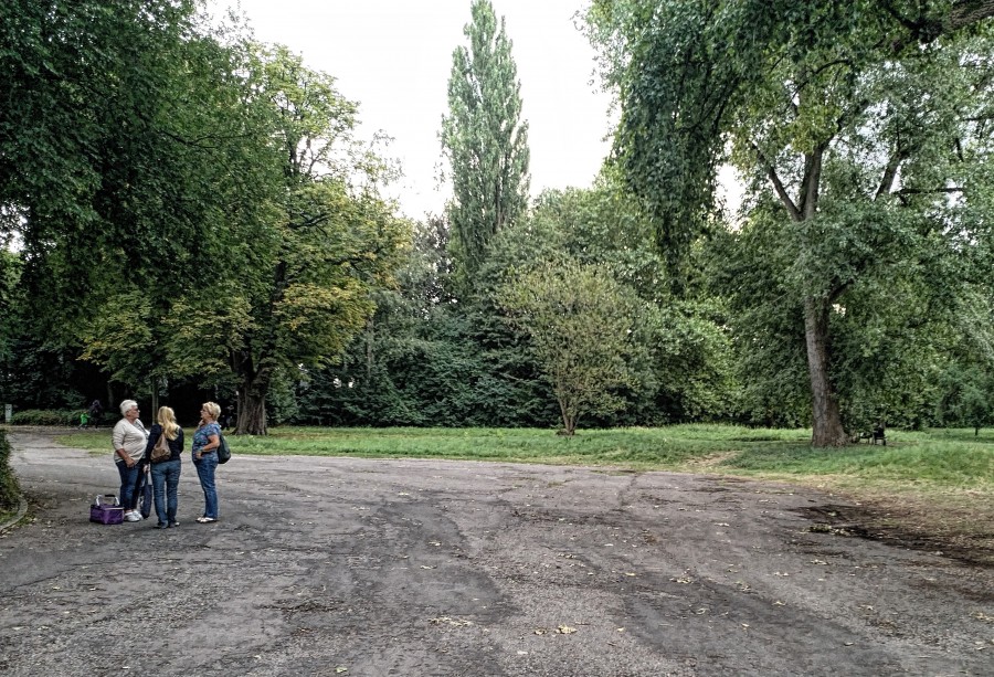 Blick auf den geplanten Standort der neuen AWO-Kita im Emscherpark. Auf Vorschlag der Verwaltung sollen für den Neubau elf Bäume (Bildhintergrund) dafür gefällt werden. (Foto: P. Gräber - Emscherblog.de)