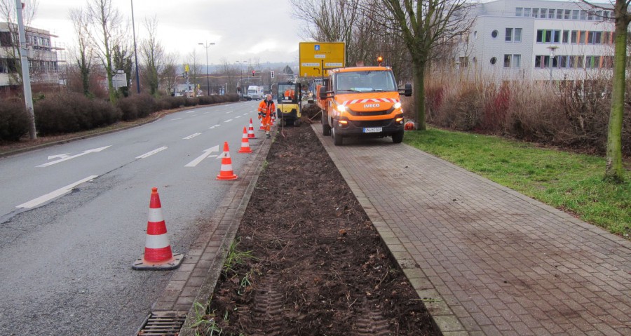 Die Gemeinde lässt gerade neue Wildblumenwiesen in den Beeten entlang der Nordstraße zwischen Autobahn und Flughafen anpflanzen. (Foto: Gemeinde Holzwickede) 