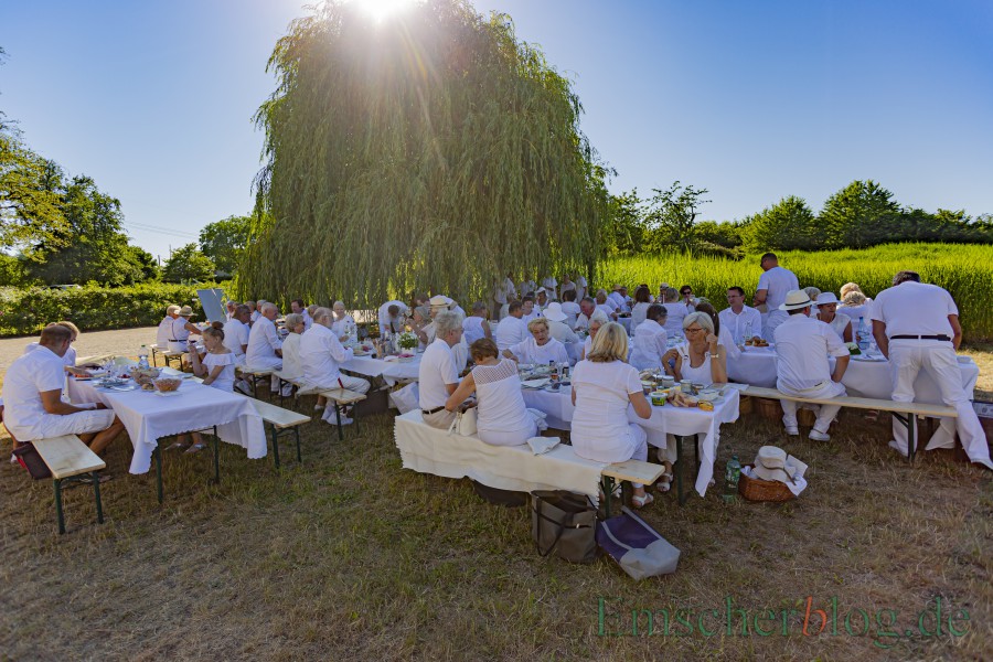 Erste Veranstaltung des Freundeskreises nach dem Lockdown wird das Picknick in Weiß am 7. August sein: Das Foto zeigt das bisher letzte Dîner en blanc auf dem Emscherquellhof vor zwei Jahren. (Foto: P. Gräber - Emscherblog) 
