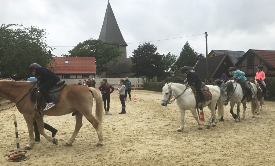 Bereits im Mai findet die Freizeit für Mädchen auf dem Ponyhof in Hilbeck statt. (Foto: Ev. Jugend)