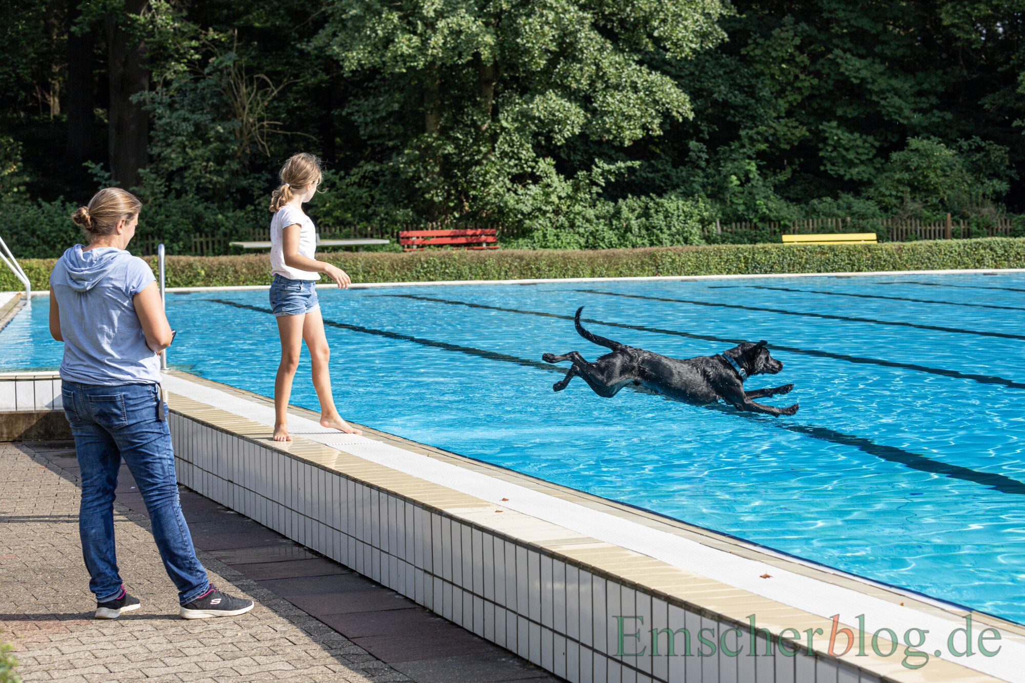 20210918 Hundeschwimmen 14