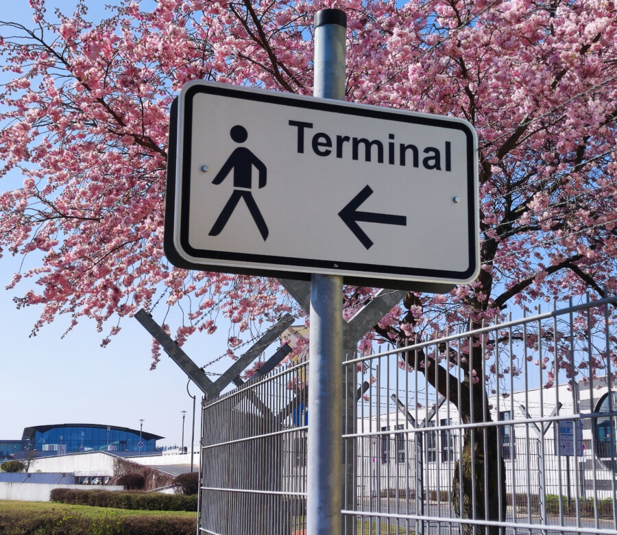 Die Sommersaison ist gestern pünktlich gestartet:  Frühling mit Kirschbaumblüte am Dortmunder Flughafen.  (Foto: Lisa Tüch)