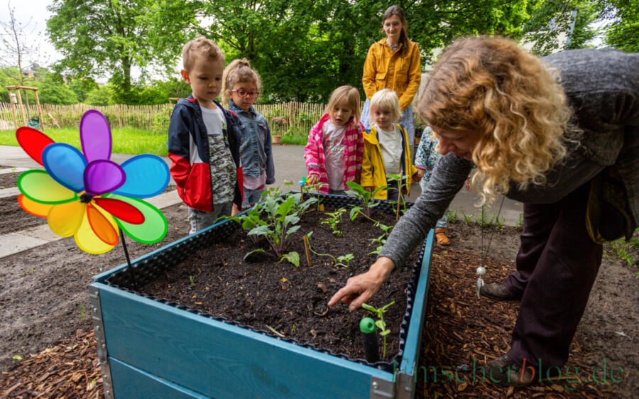 Aufmerksam verfolgen die Kinder des AWO-Kindergartens, was Hannah Peters ihnen über die Natur erklärt. Heute pflanzten die Kinder in das kleine Hochbeet Erbsen ein.  (Foto: P. Gräber - Emscherblog) 