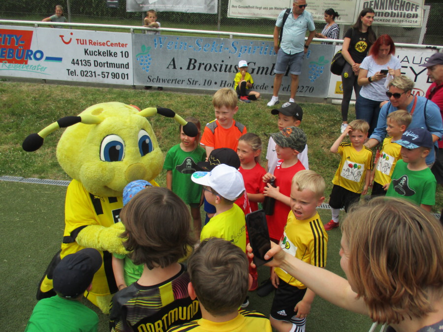 Beim Kindergarten-Cup heute (19. Juni) auf der Haarstrang-Sportanlage stand der Spaß im Mittelpunkt: BVB-Biene Emma war übrigens auch beim Sommerfest des HSC zu Gast. (Foto: privat) 