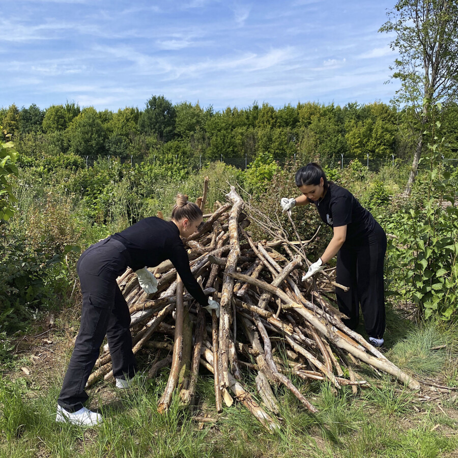 Auszubildende des Dortmund Airport bauen einen Totholzhaufen zur Unterstützung der Biodiversität. Foto: Heike Helmboldt