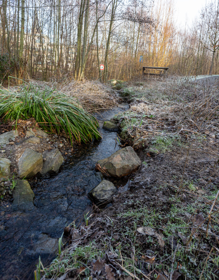 Renaturierter Emscherlauf  im südlichen Bereich des Emscherparks in Holzwickede. (Foto: P. Gräber - Emscherblog)