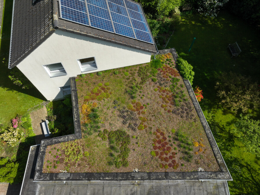 Dieses Dach ist 2022 begrünt worden, die Pflanzendecke wird von Jahr zu Jahr dichter werden. Potenzial für Dachbegrünungen gibt es auf vielen Garagen, Carports, Anbauten oder Vordächern in der Region. (Foto: Rupert Oberhäuser/ EGLV)