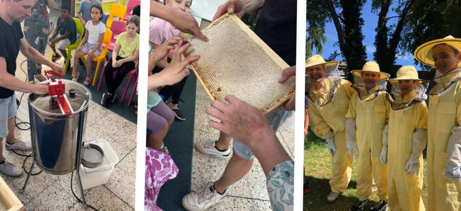 Zuächst holten die Kinder in ihren Imkeranzügen (re.) den Honig aus dem Bienenstand. Nach dem "Entdeckeln" wurden die Honigwaben (M.) in der Schleudermaschine geschleudert (li.) (Fotos: Nordschule)