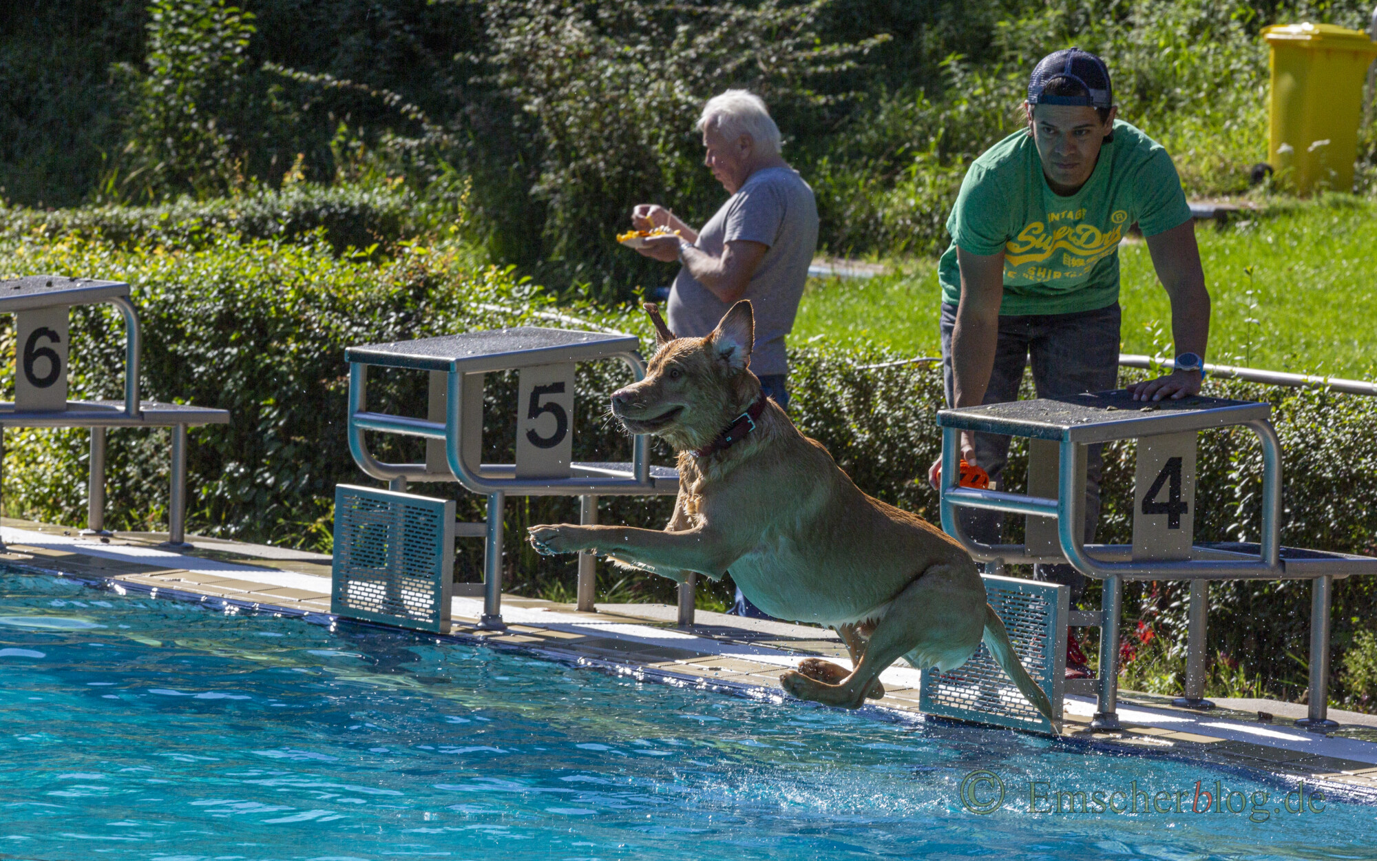 Traditionelles Hundeschwimmen im Freibad Schöne Flöte beschließt durchwachsene Saison