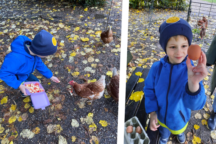 Die Kinder im Familienzentrum Löwenzahn kümmern sich um die Hühner und versorgen auch am Wochenende mit ihren Eltern die gefiederten Gäste. Die dabei gefunden Eier dürfen sie mitnehmen. (Fotos: privat)